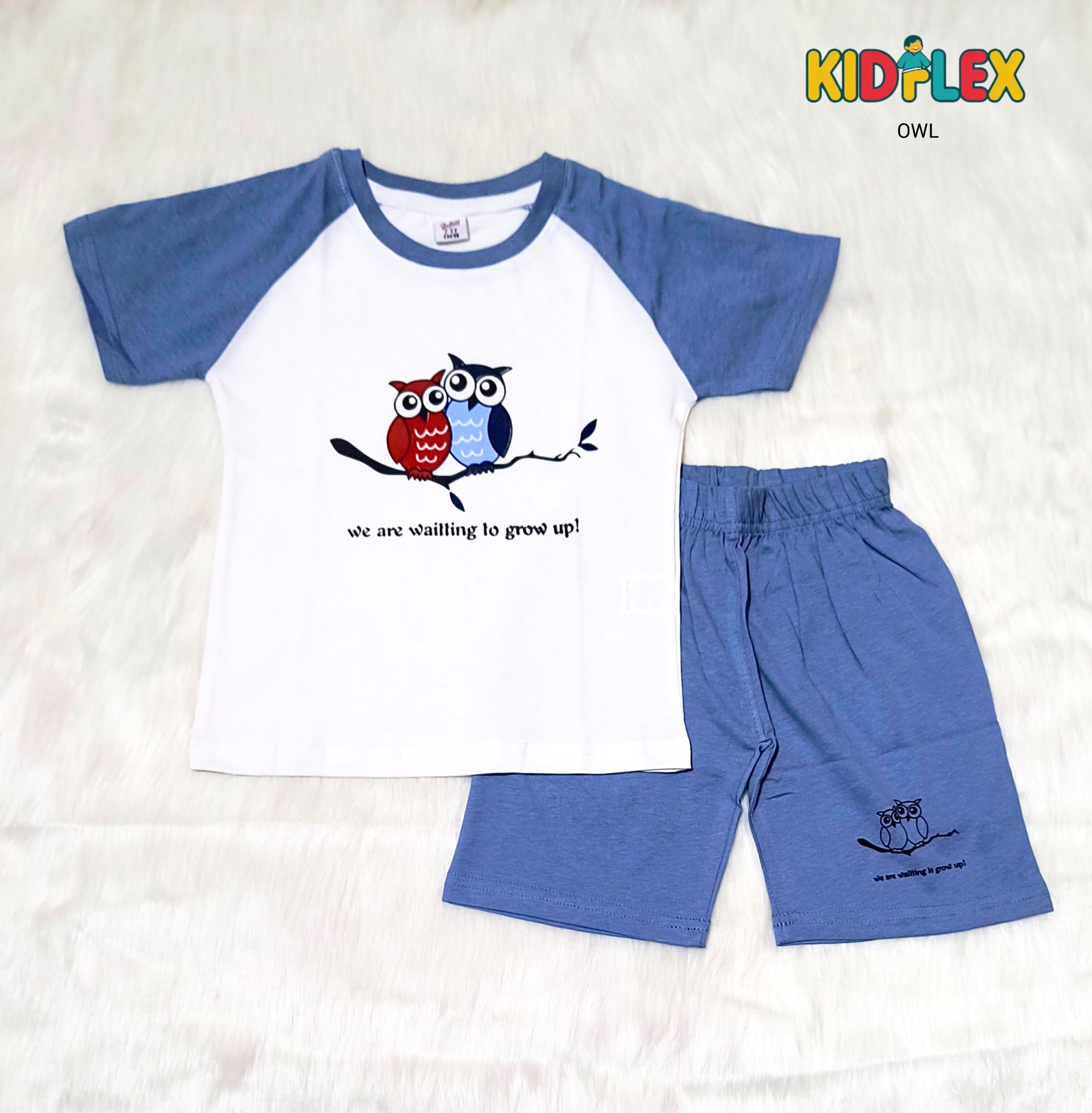 InShot_20250821_173712350 Kids Premium T Shirt-Pant Set: OWL - Image 1